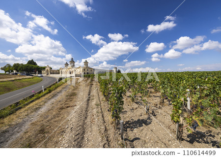 Vineyards with Chateau Cos d'Estournel, Bordeaux, Aquitaine, France Vineyards with Chateau Cos d'Estournel, Bordeaux, Aquitaine, France 110614499