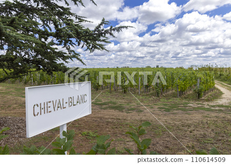 Typical vineyards (1er Grand Cru Classe A) near Chateau Cheval Blanc, Saint-Emilion, Aquitaine, France Typical vineyards (1er Grand Cru Classe A) near Chateau Cheval Blanc, Saint-Emilion, Aquitaine, France 110614509