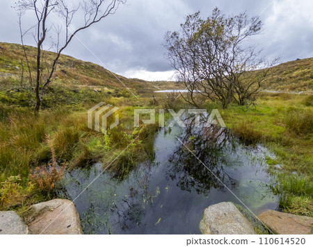 View of the beautiful stream in Bonny Glen in County Donegal - Ireland. 110614520