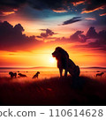 獅子在大草原上被夕陽照亮 110614628