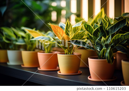 Generative AI Flower pots on a surface 110615203