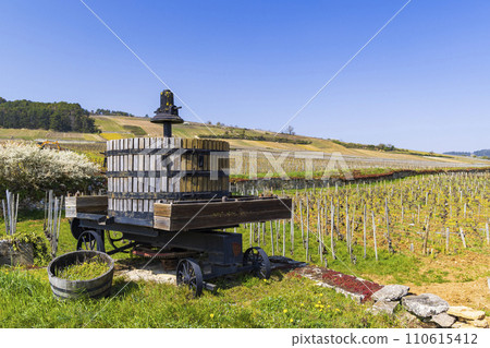 Old wine press, Cote de Nuits, Burgundy, France 110615412