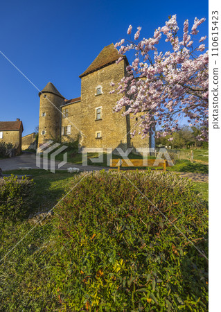 Chateau de Bissy-sur-Fley too Chateau de Pontus de Tyard, Bissy-sur-Fley, Burgundy, France 110615423