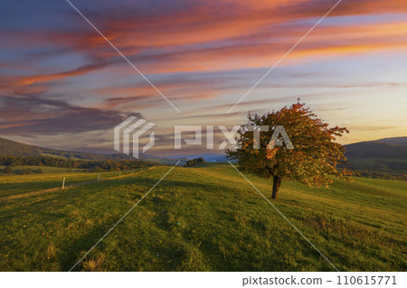 Carpathian mountains landscape, Eastern Slovakia 110615771
