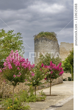 Chateau de Gencay ruins (Du Guesclin), department Vienne, Aquitaine, France 110615888