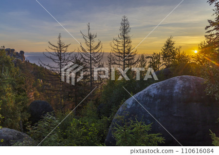 Landscape in a nature reserve Broumovske steny, eastern Bohemia, Czech Republic 110616084
