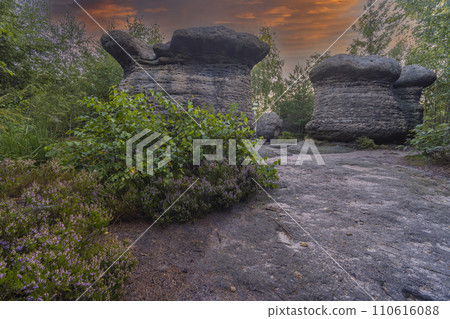 Landscape in a nature reserve Broumovske steny, eastern Bohemia, Czech Republic 110616088