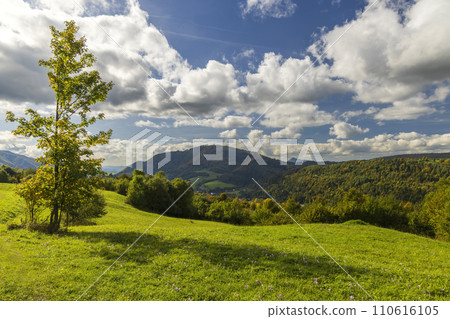 Autumn landscape in Mala Fatra mountains, Slovakia Autumn landscape in Mala Fatra mountains, Slovakia 110616105