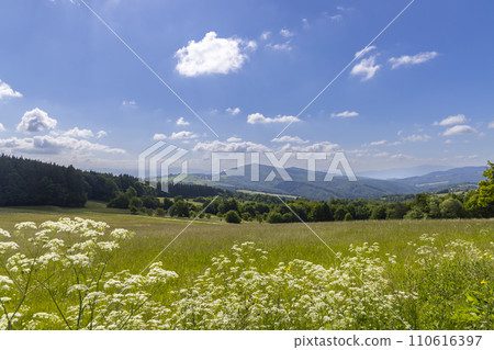 Typical Spring landscape in White Carpathians near Stary Hrozenkov, Southern Moravia, Czech Republic 110616397
