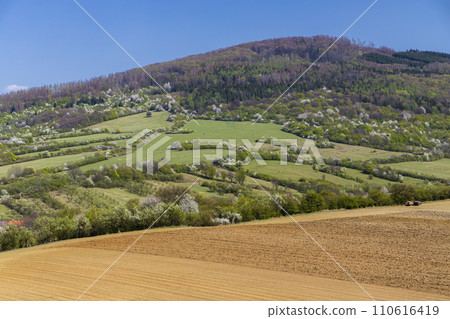 Spring landscape in White Carpathians, Javornik, Southern Moravia, Czech Republic Spring landscape in White Carpathians, Javornik, Southern Moravia, Czech Republic 110616419