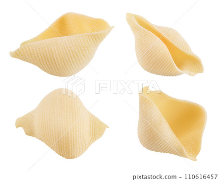 Conchiglioni italian pasta isolated on white background . Top view. Flat lay. Set or collection 110616457