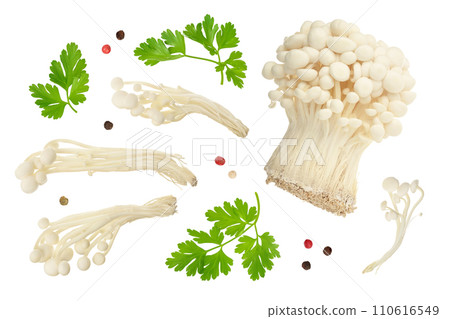 Enoki mushroom, Golden needle mushroom isolated in white background . Top view. Flat lay Enoki mushroom, Golden needle mushroom isolated in white background . Top view. Flat lay 110616549
