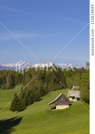Typical wooden log cabins in Gorjuse, Triglavski national park, Slovenia 110616684
