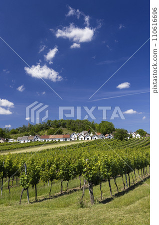 Traditional wine cellars with vineyard in Galgenberg near Wildendurnbach, Lower Austria, Austria Traditional wine cellars with vineyard in Galgenberg near Wildendurnbach, Lower Austria, Austria 110616696