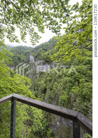 Kvacianska valley in spring time, Chocske vrchy, Slovakia 110617230