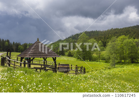 Spring of Hron, Horehronie, Low Tatras, Slovakia 110617245