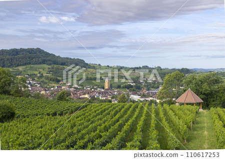 Vineyards with Arbois town, Department Jura, Franche-Comte, France 110617253