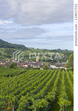Vineyards with Arbois town, Department Jura, Franche-Comte, France 110617332