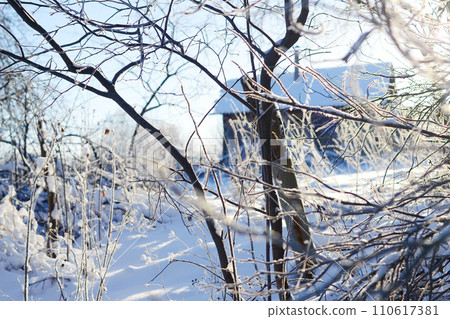 Winter specific. Branches covered with frost. Winter wonderland. Snow-blanketed countryside. The calm and serenity of a winter day in the heart of the rural landscape. 110617381