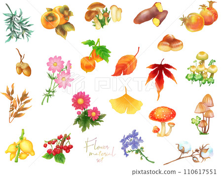 Seasonal material set (autumn) 110617551