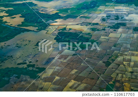 aerial view of rice fields 110617703