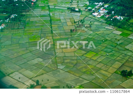 aerial view of rice fields 110617864