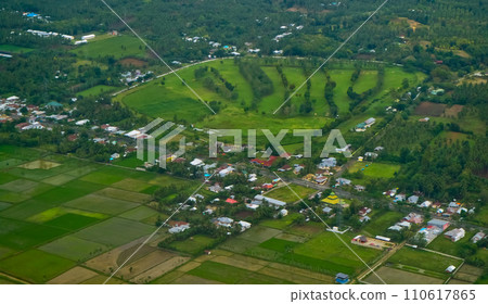 aerial view of rice fields aerial view of rice fields 110617865