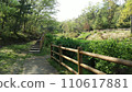 green park path 110617881