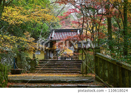 Zuisekiyama Eigenji Temple main gate in late autumn 110618024