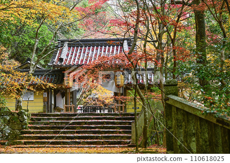 Zuisekiyama Eigenji Temple main gate in late autumn Zuisekiyama Eigenji Temple main gate in late autumn 110618025