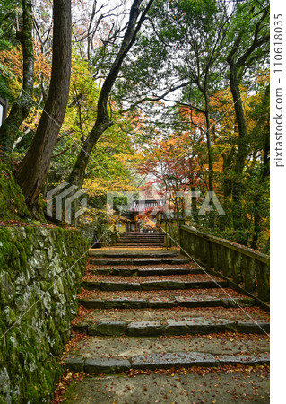 深秋的水石山永源寺參道 110618035
