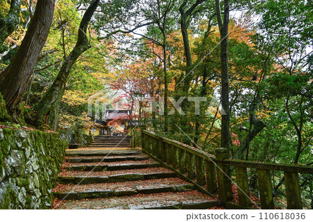 The approach to Eigenji Temple in Mt. Mizuseki in late autumn The approach to Eigenji Temple in Mt. Mizuseki in late autumn 110618036