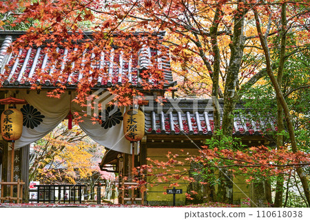 Zuisekiyama Eigenji Temple main gate in late autumn 110618038