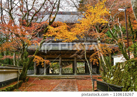 Eigenji temple gate of Mt. Zuishi in late autumn 110618267