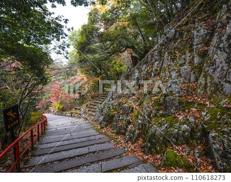 深秋的水石山 永源寺 羅寒坂 110618273