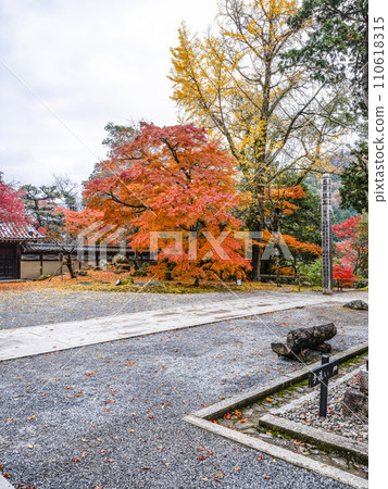 深秋的水石山永源寺院內的紅葉 110618315