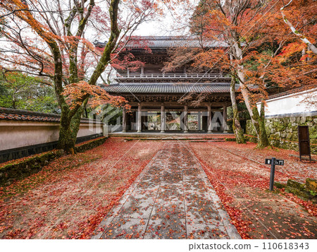 Eigenji temple gate of Mt. Zuishi in late autumn 110618343