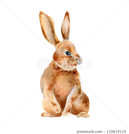 Easter hare watercolor illustration isolated on white background. Red bunny hand drawn. Painted wild animal with long ears. One hare. Element for design Easter card. Cute vintage bunny 110619119
