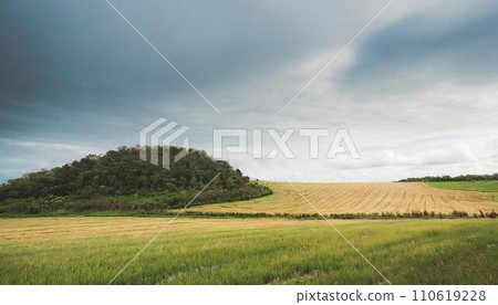 Rural scenery dyed in the setting sun 110619228