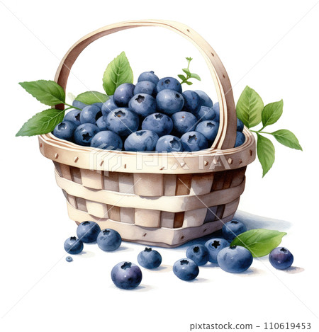 Watercolor blueberries in a wicker basket on white background Watercolor blueberries in a wicker basket on white background 110619453