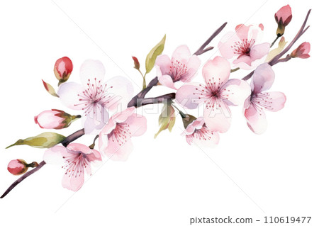 Pink blossom of sakura or cherry tree 110619477