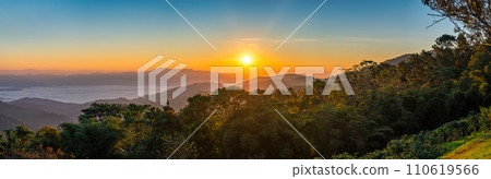 Tropical forest nature landscape with mountain range sunrise with moving cloud mist, Chiang Mai Thailand panorama 110619566