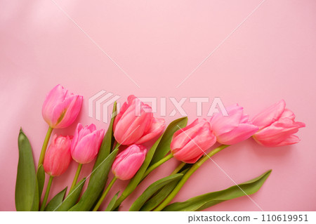 Flower background, pink tulip flowers Flower background, pink tulip flowers 110619951