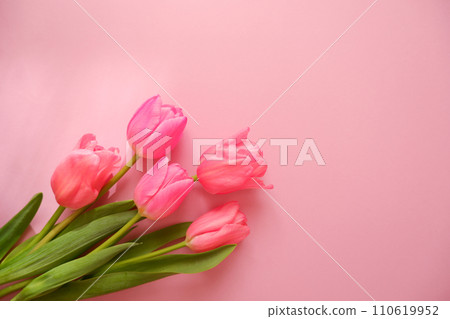 Flower background, pink tulip flowers Flower background, pink tulip flowers 110619952