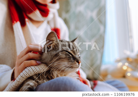 portrait teenage girl with fluffy cat in Christmas scarf and garland portrait teenage girl with fluffy cat in Christmas scarf and garland 110619976