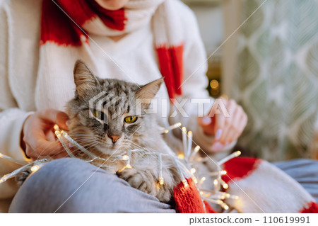 portrait teenage girl with fluffy cat in Christmas scarf and garland 110619991