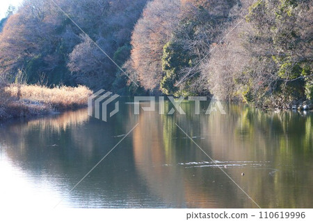 流經坂戶市的大自然豐富的科馬川冬季景觀 流經坂戶市的大自然豐富的科馬川冬季景觀 110619996