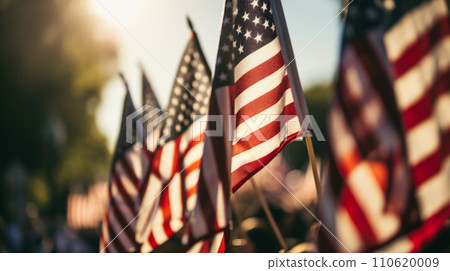 lots of stars and stripes lots of stars and stripes 110620009