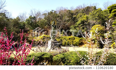 兵庫縣寶塚市中千寺梅林的觀音像和紅白梅花 兵庫縣寶塚市中千寺梅林的觀音像和紅白梅花 110620180