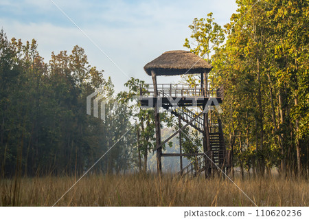 wooden watchtower for forest guards and park rangers for monitoring and save wild animals illegal activities trees cutting poachers threat in pilibhit national park tiger reserve uttar pradesh india 110620236